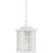Quoizel Stonington Outdoor Hanging Lantern SNN1909W - alternate 5